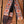 Holy Cow Deluxe Orange Flower Sandy