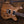 PRS CE 24-08 Swamp Ash Limited Black Limba