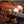 Gretsch Penguin G6134T Koa Limited Edition PRE-OWNED!