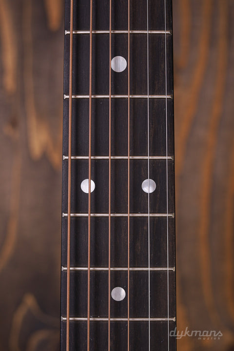 Martin D-16E Rosewood