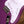 PRS SE Silver Sky Summit Purple (Maple Fretboard)