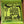 Ernie Ball 7-String Regular Slinky 10-56