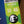 Elixir Optiweb Light 10-46