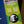 Elixir Optiweb Light/Heavy 10-52
