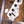 Sandberg California VM Virgin White High Gloss