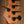 Music Man DarkRay 5 Dark Rainbow 