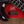 Music Man DarkRay 5 Dark Rainbow 