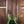 Music Man Stingray Special HH Kiwi Green