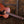 Martin 00-15 Mahogany