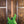 Music Man Stingray Special HH Kiwi Green