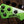 Music Man Stingray Special HH Kiwi Green