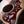 Gibson Hummingbird Custom Koa