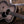 Martin OMJM John Mayer 20th Anniversary PRE-ORDER!