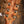 Gibson Hummingbird Custom Koa