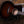Taylor Builder's Edition 524ce