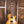 Gibson Les Paul Studio Session Honey Burst
