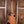 Gibson Les Paul Studio Session Honey Burst