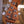 Music Man Axis Olallieberry Quilt