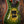 PRS Private Stock #10485 CU 24-08 Rainforest Glow w/ Birds of a Feather Inlay