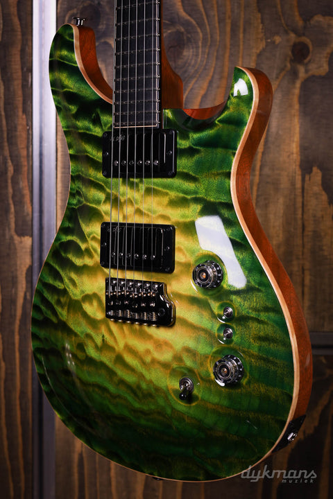 PRS Private Stock #10485 CU 24-08 Rainforest Glow w/ Birds of a Feather Inlay