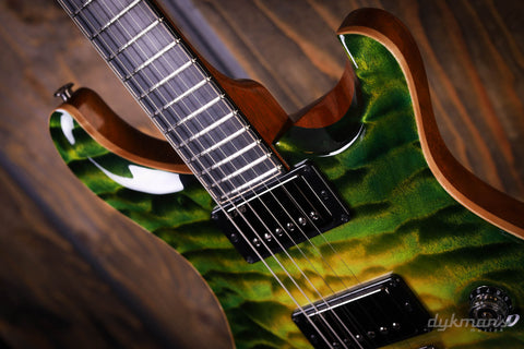 PRS Private Stock #10485 CU 24-08 Rainforest Glow w/ Birds of a Feather Inlay