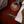 Taylor 524ce PRE-OWNED