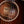 Taylor 524ce PRE-OWNED