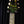 PRS Private Stock #10485 CU 24-08 Rainforest Glow w/ Birds of a Feather Inlay