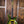 PRS Private Stock #10485 CU 24-08 Rainforest Glow w/ Birds of a Feather Inlay