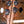 Rickenbacker 4003 MP MapleGlo