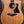 Taylor 110ce
