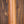 Taylor 110ce