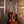 Taylor 150th 12 string