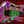 Ibanez PIA77BON Steve Vai Brilliance of Now Limited Edition