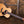 Eastman E20OM-MR-TC