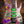 Ibanez PIA77BON Steve Vai Brilliance of Now Limited Edition