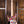 Ibanez PIA77BON Steve Vai Brilliance of Now Limited Edition