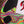 Ibanez PIA77BON Steve Vai Brilliance of Now Limited Edition