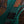 Dingwall D-Roc Standard 5 Aquamarine Metalflake Gloss