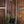 Fender Player II Modified Jazz Bass Rosewood Harvest Green Metallic