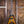Epiphone Flying V Prophecy Yellow Tiger Aged Gloss