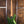 Fender Player II Modified Jazz Bass Rosewood Harvest Green Metallic