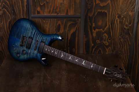 PRS Wood Library Modern Eagle V Custom Color