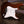 Suhr Classic S Plus Root Beer