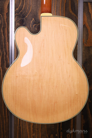 Ibanez PM200 Pat Metheny
