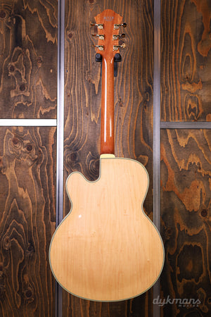 Ibanez PM200 Pat Metheny