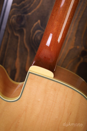 Ibanez PM200 Pat Metheny