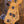 Fender Player II Jazz Bass Birch Green