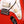 Fender Player II Stratocaster HSS Coral Red