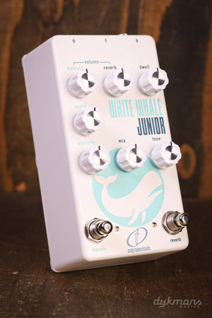 Crazy Tube Circuits White Whale Junior Spring Reverb